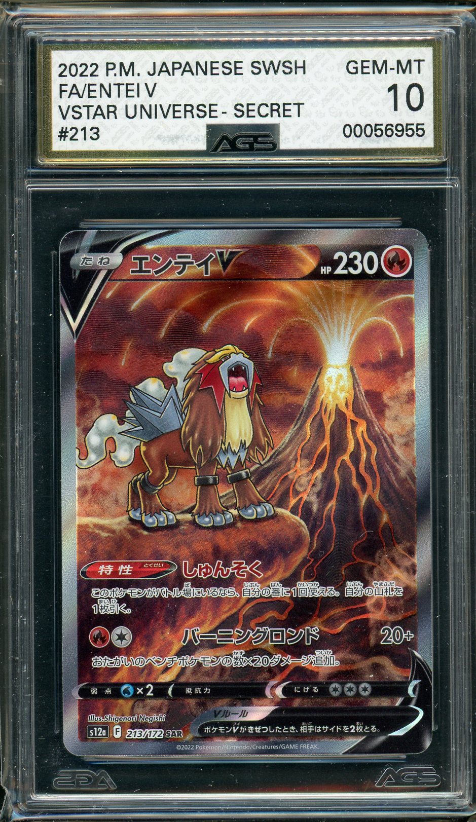 AGS (GEM-MT 10) Entei V #213 (Japanese) - VSTAR Universe (#00056955) - Image 1