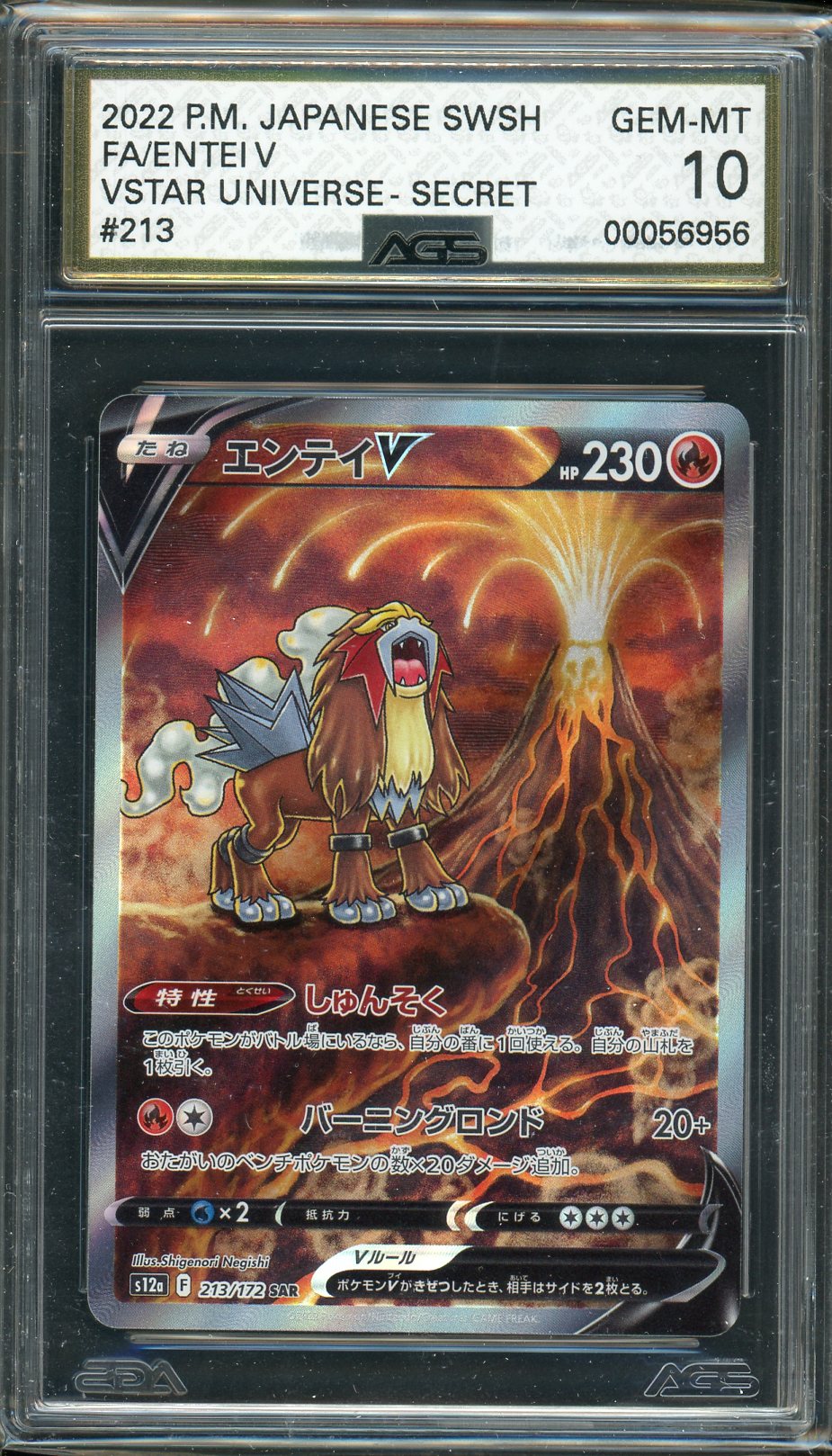 AGS (GEM-MT 10) Entei V #213 (Japanese) - VSTAR Universe (#00056956) - Image 1
